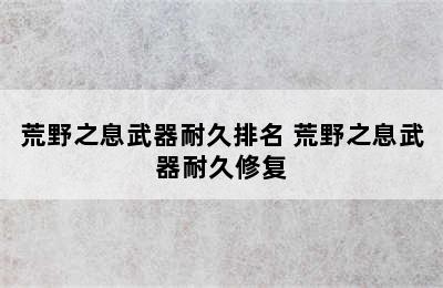 荒野之息武器耐久排名 荒野之息武器耐久修复